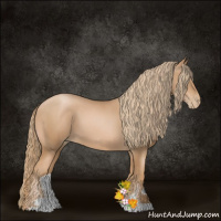 Horse Color:Chestnut Pearl Sabino