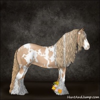 Horse Color:White Spotted Chestnut Pearl Sabino