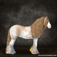 Horse Color:Chestnut Ice Pearl Sabino 