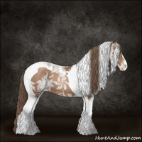 Horse Color:Black Ice Pearl Sabino Tobiano