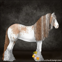 Horse Color:White Spotted Liver Chestnut Pearl Sabino 