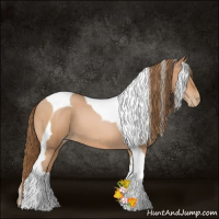 Horse Color:Bay Pearl Sabino Tobiano 
