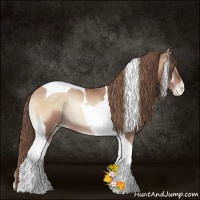 Horse Color:Blue Onyx Pearl Tobiano Rabicano 