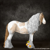 Horse Color:Chestnut Ice Pearl Sabino Tobiano