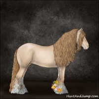 Horse Color:Chestnut Pearl Sabino