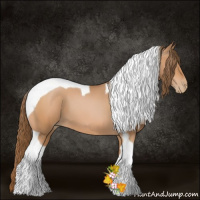 Horse Color:Bay Pearl Sabino Tobiano 