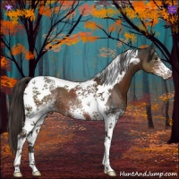 Horse Color:White Spotted Liver Chestnut Tobiano