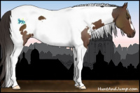 Horse Color:White Spotted Liver Chestnut Tobiano 