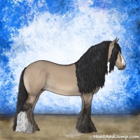 Horse Color:Brown Dun 