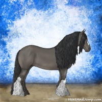 Horse Color:Grullo 