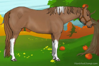 Horse Color:Chestnut Tobiano