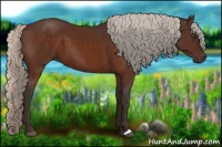 Horse Color:Silver Bay 