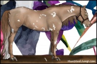 Horse Color:White Spotted Liver Chestnut Pearl Rabicano 