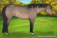 Horse Color:Bay Roan Dun Rabicano