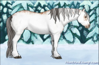 Horse Color:White Spotted Bay Splash Frame  and White Spotted Bay Dun Splash Frame 