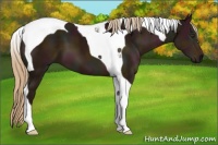 Horse Color:Midnight Chestnut Tobiano 