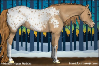 Horse Color:Chestnut Appaloosa Rabicano 