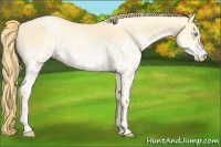 Horse Color:Buckskin Roan Pearl  and White Spotted Buckskin Pearl 