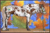 Horse Color:Chestnut Splash Tobiano