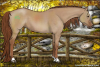 Horse Color:Red Dun 