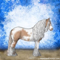 Horse Color:Silver Bay Dun Sabino Tobiano Frame Rabicano 