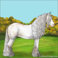 Horse Color:White Spotted Silver Classic Champagne Dun Splash Frame 