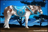 Horse Color:White Spotted Liver Chestnut Sabino
