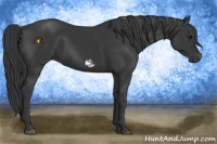 Horse Color:Black  and Black Frame 