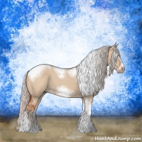 Horse Color:Silver Bay Dun Sabino Tobiano Frame Rabicano