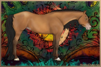 Horse Color:Gray Amber Champagne