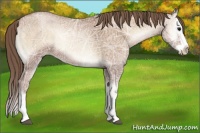 Horse Color:Blue Onyx Ice Pearl Splash 
