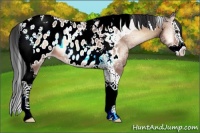 Horse Color:Bay Ice Onyx Splash Tobiano Near Leopard 