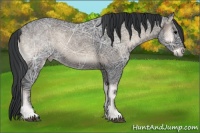 Horse Color:Blue Onyx Ice