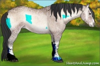 Horse Color:Bay Ice Onyx 