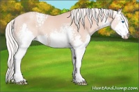 Horse Color:White Spotted Silver Amber Champagne Splash 