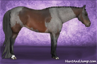 Horse Color:Bay Roan Varnish  and Gray Bay Roan Varnish 