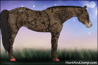 Horse Color:Gray Classic Champagne 