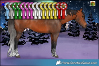 Horse Color:Bay  and Bay 
