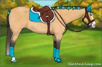 Horse Color:Buckskin Roan Splash