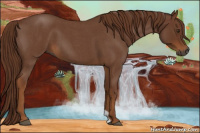 Horse Color:Gray Red Roan 