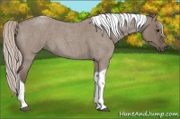 Horse Color:Silver Grullo Roan Tobiano 