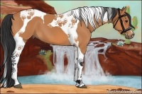 Horse Color:Bay Tobiano 