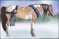 Horse Color:Amber Champagne Tobiano 