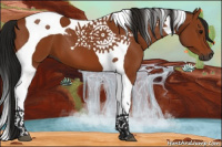 Horse Color:Gray Bay Tobiano