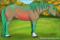 Horse Color:Watercolor Bay Sabino 