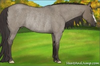 Horse Color:Smoky Grullo Roan Rabicano 