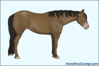 Horse Color:Gray Classic Cream Champagne