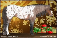 Horse Color:Bay Roan Appaloosa  and Bay Roan Appaloosa 