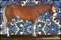 Horse Color:Silver Buckskin Sabino Splash 