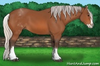 Horse Color:White Spotted Silver Bay Splash 